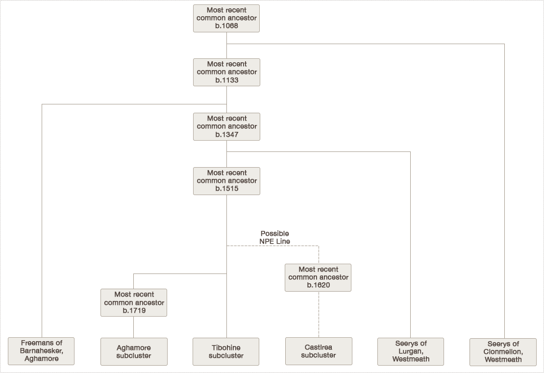Family Tree of the Connaught Cluster & Westmeath Seerys